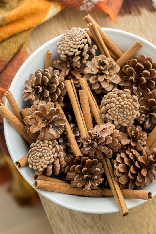 CINNAMON PINECONE SOY CANDLE 2 WICK