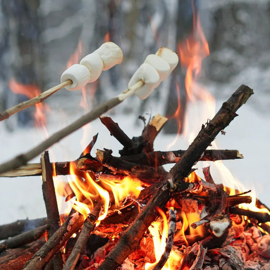 Marshmallow Fireside Soy Candle 2 Wick | Returning 9/12