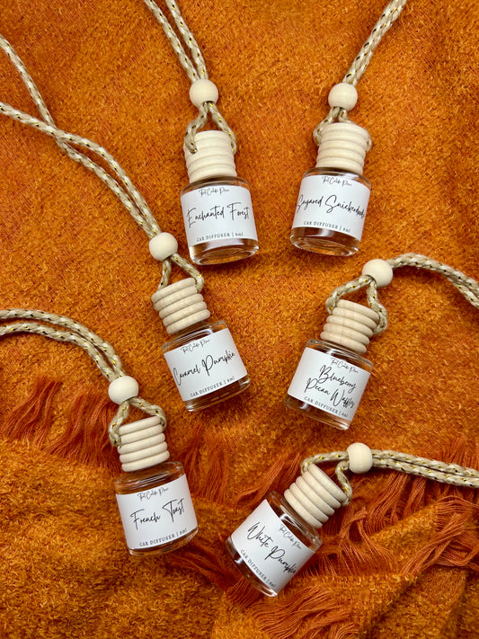 Fall Car Diffusers