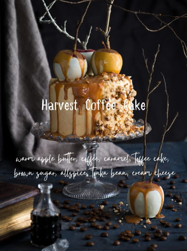 Harvest Coffee Cake Wax Melts